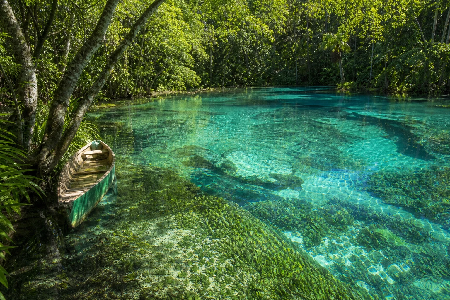 Aguas cristalinas de Cráter Azul en Petén